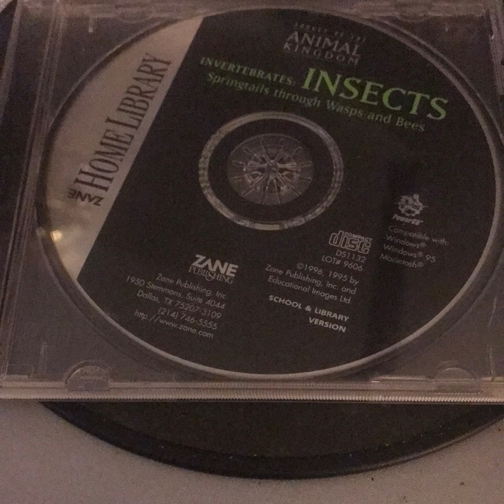 Animal Kingdom "Insects" Educational CD - Black/White